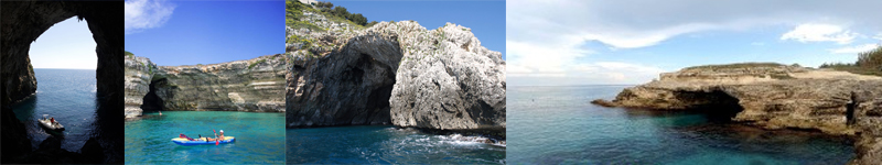 I pipistrelli di Grotta della Monaca nel Comune di Otranto 