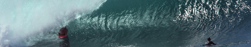 WaveTrotter 2011 - WaveTrotter Competition